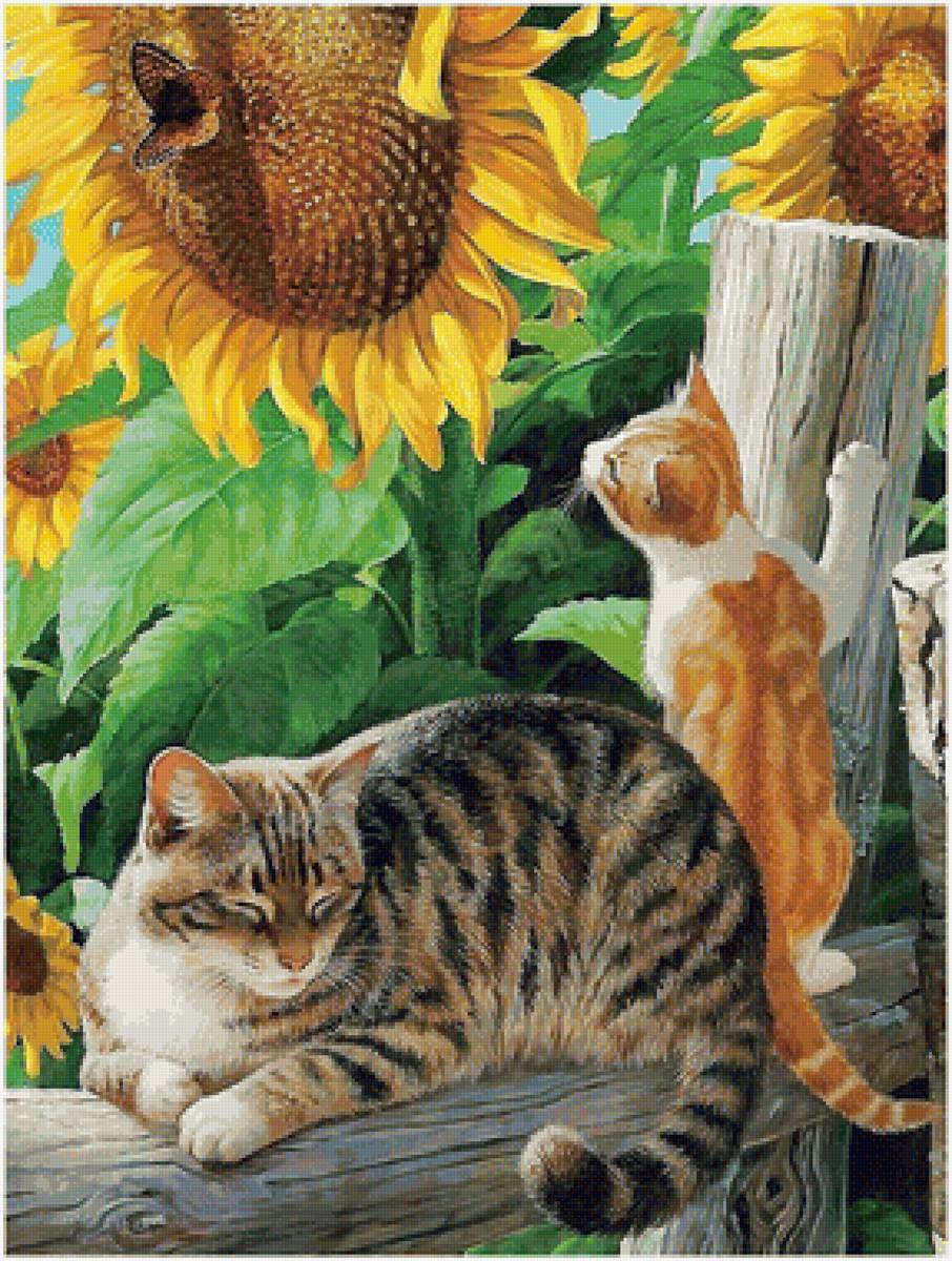 коты - коты - предпросмотр