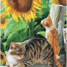 Схема вышивки «коты»