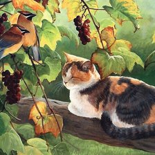 Схема вышивки «кошка»