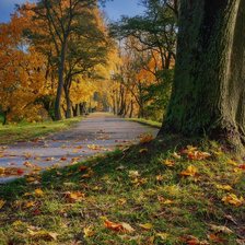 Схема вышивки «природа.пейзаж.осень»