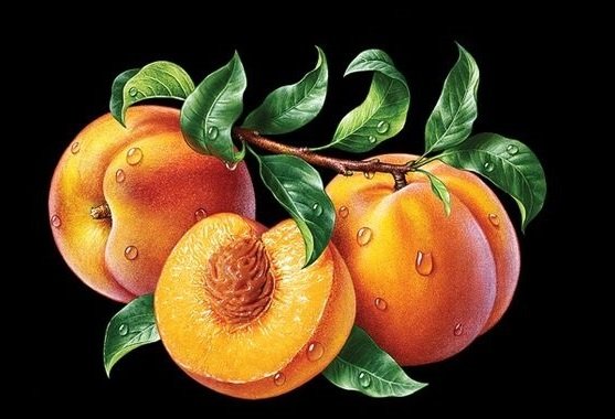 фрукты - оригинал