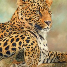 Схема вышивки «Леопард»