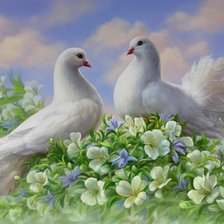 Схема вышивки «Голуби»