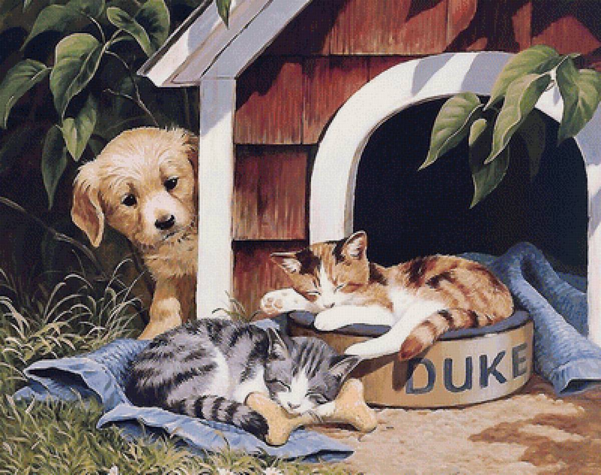 друзья - друзья - предпросмотр