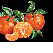 Схема вышивки «Серия "Фруктово-ягодная".»