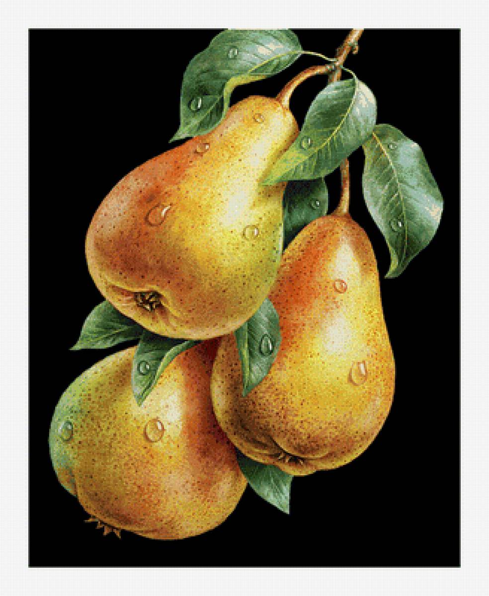 Серия "Фруктово-ягодная". Груши - груши, ягоды, фрукты - предпросмотр