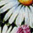 Предпросмотр схемы вышивки «№1733764»