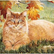 Схема вышивки «кот»