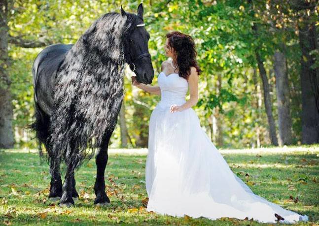 лошадь с девушкой - лошадь с девушкой - оригинал