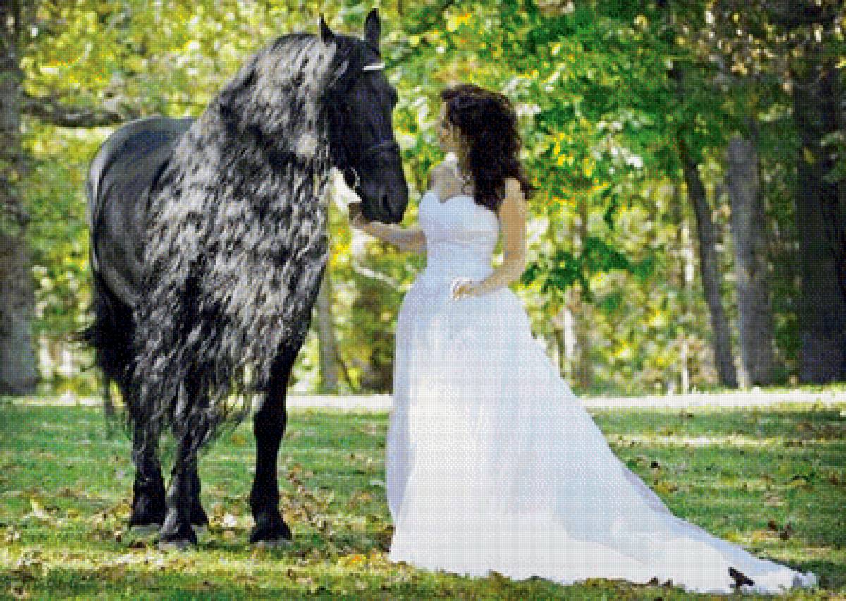 лошадь с девушкой - лошадь с девушкой - предпросмотр