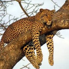 Схема вышивки «перед сном»