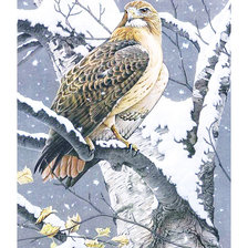 Схема вышивки «Серия "Птицы"»