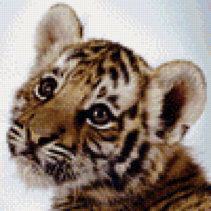 тигр - большая кошка, животное, тигр - предпросмотр