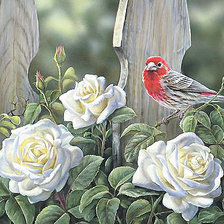 Схема вышивки «Серия "Розы". Цветы в палисаде»