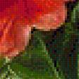 Предпросмотр схемы вышивки «НАТЮРМОРТ С ШИПОВНИКОМ, ЯГОДАМИ» (№1734720)