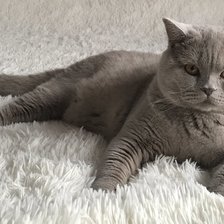 Схема вышивки «Кекс»