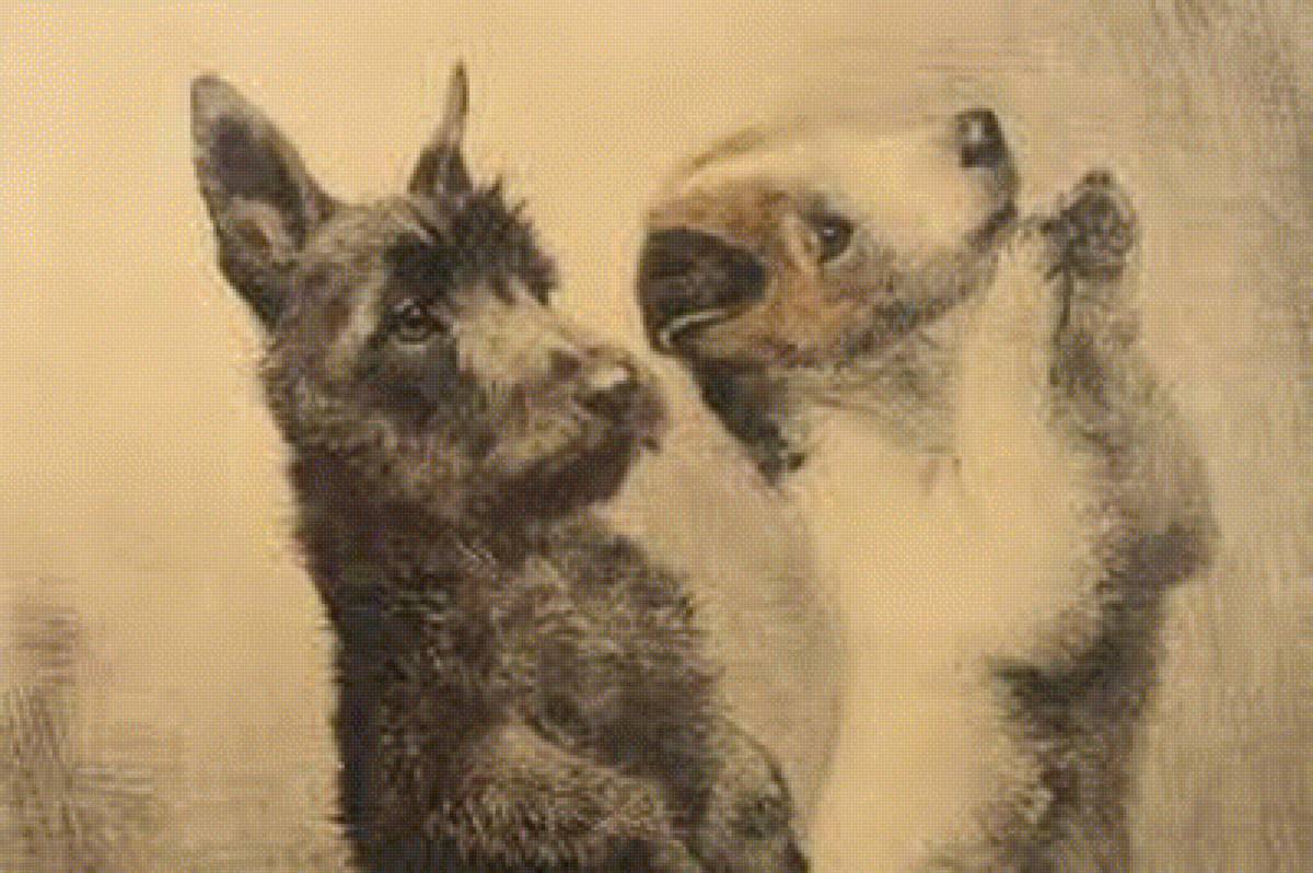 №1734784 - предпросмотр