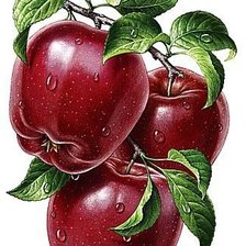 Схема вышивки «№1734812»