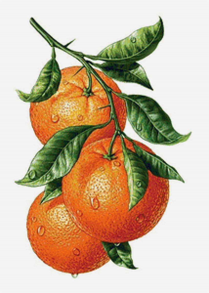 №1734815 - предпросмотр