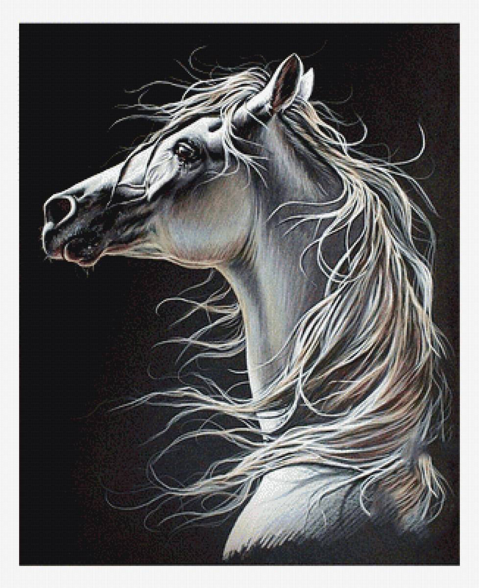 Серия "Кони" - кони, животные - предпросмотр