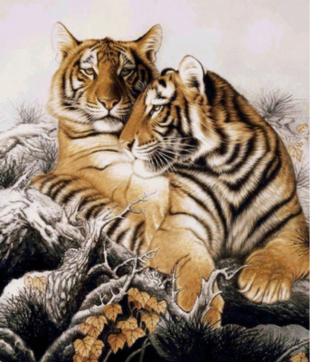 Тигры - звери, животные - предпросмотр