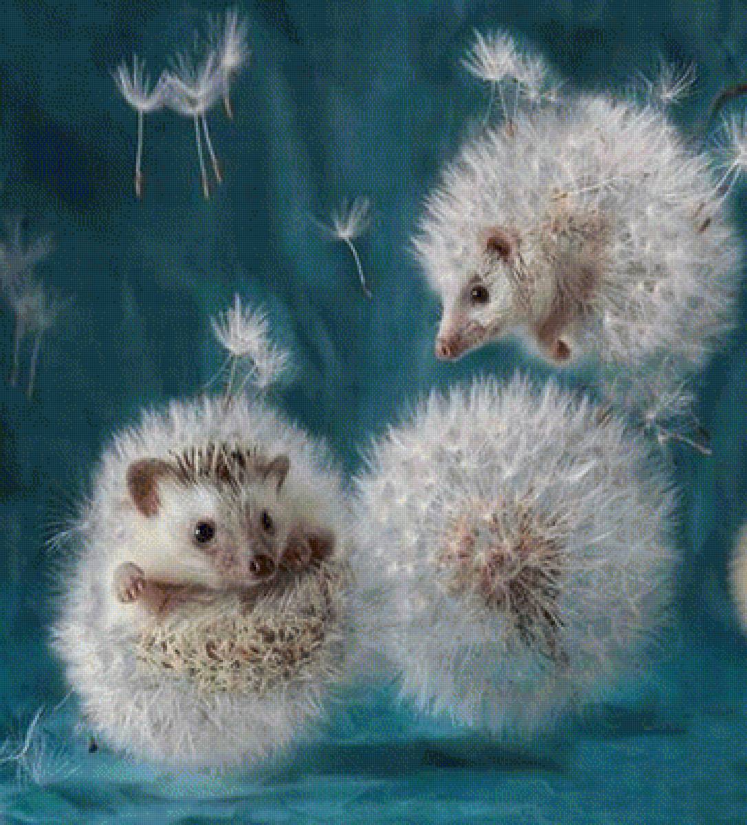 №1735137 - предпросмотр