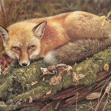 Схема вышивки «лиса»