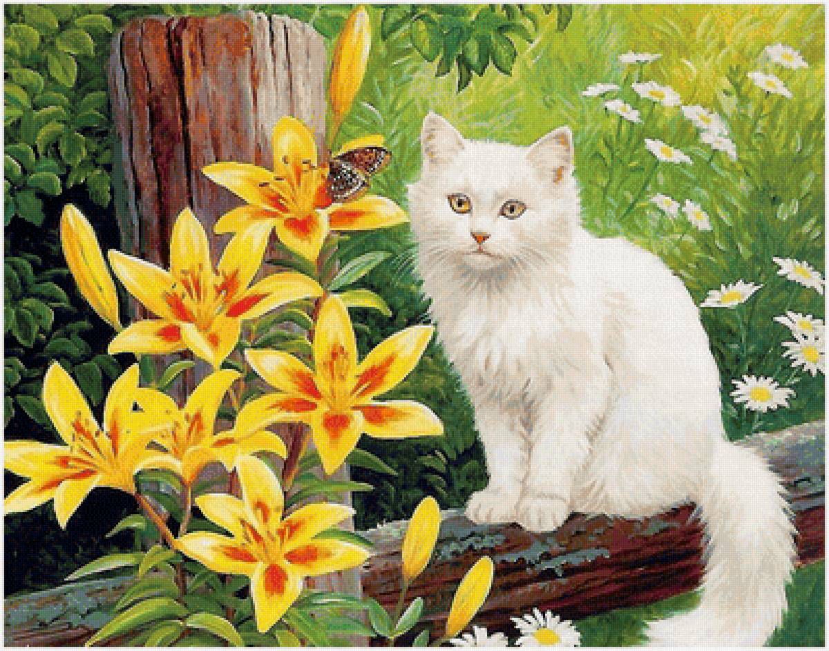 кошка - кошка - предпросмотр