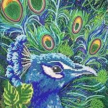 Схема вышивки «павлин»