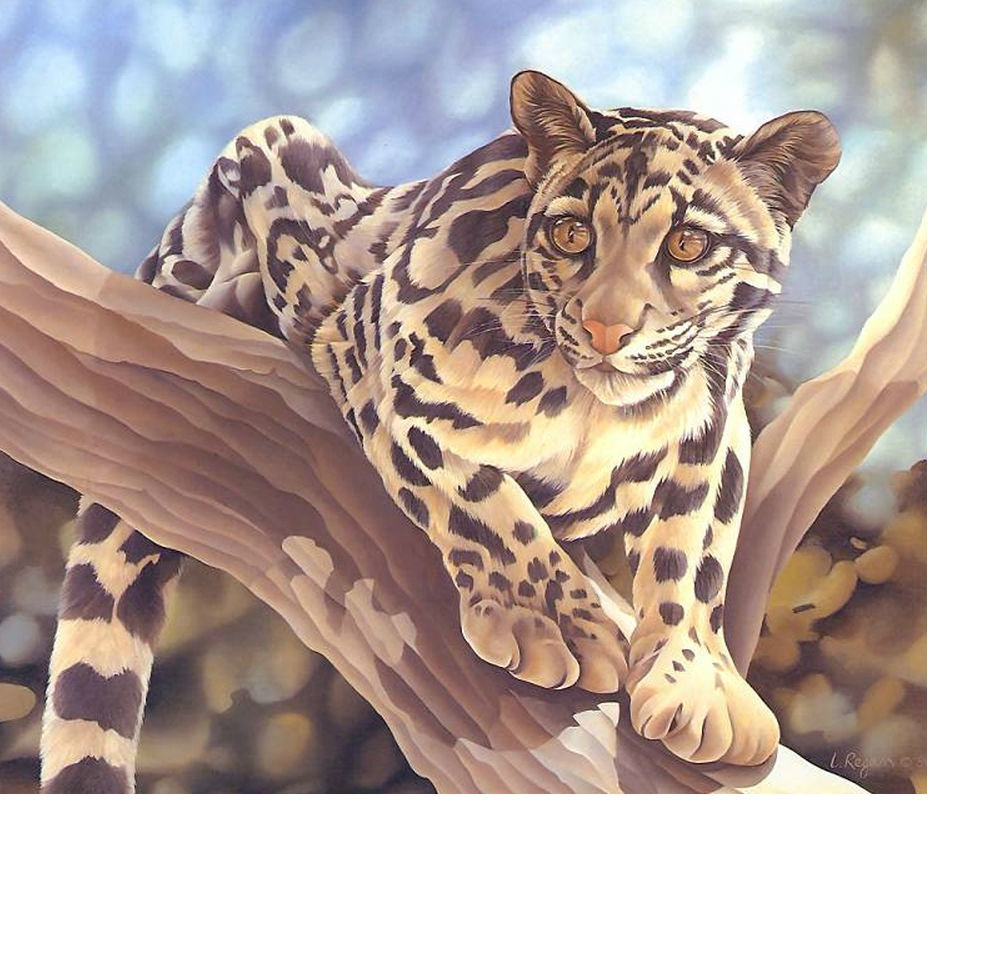 Леопард - звери, животные - оригинал