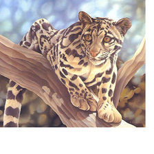 Схема вышивки «Леопард»