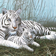 Схема вышивки «Белые тигры»