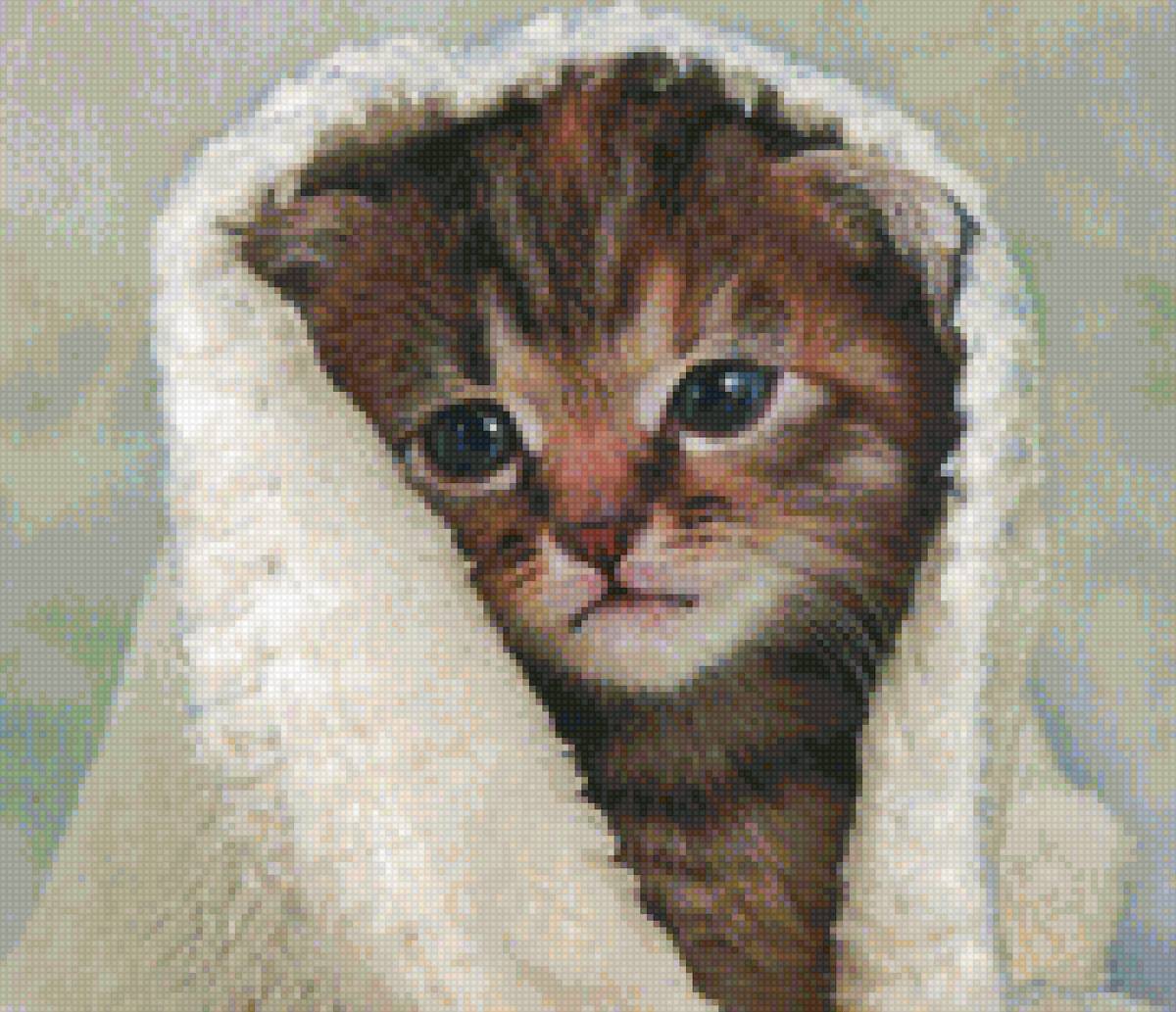 Котенок 1 - предпросмотр