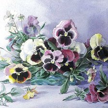 Схема вышивки «Анютины глазки.»