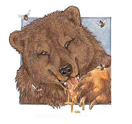 Медведь - оригинал