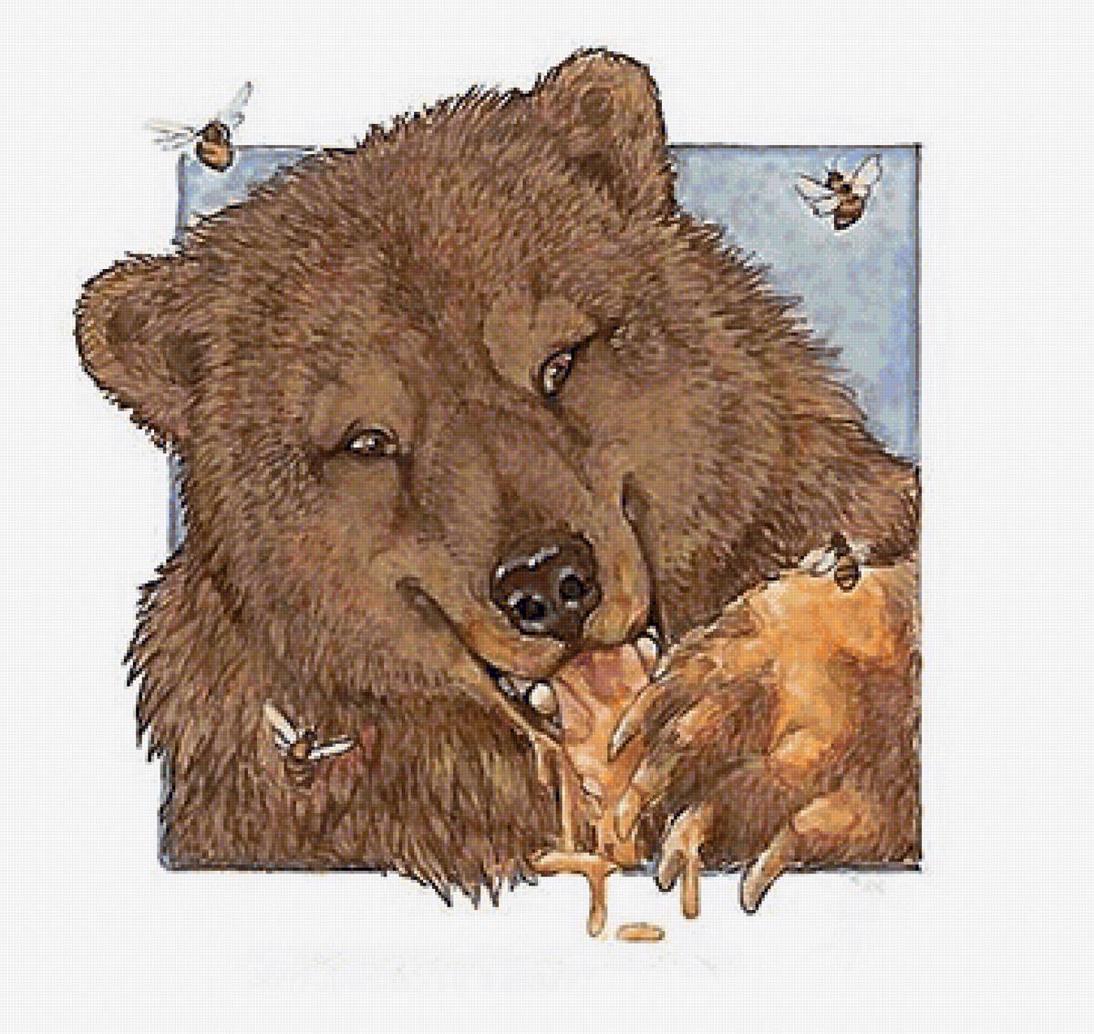 Медведь - предпросмотр