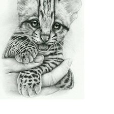 Схема вышивки «№1736139»