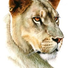 Схема вышивки «№1736190»