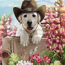 Схема вышивки «Мир животных»