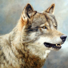 Схема вышивки «Волк»