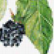 Предпросмотр схемы вышивки «Ягоды» (№1736515)