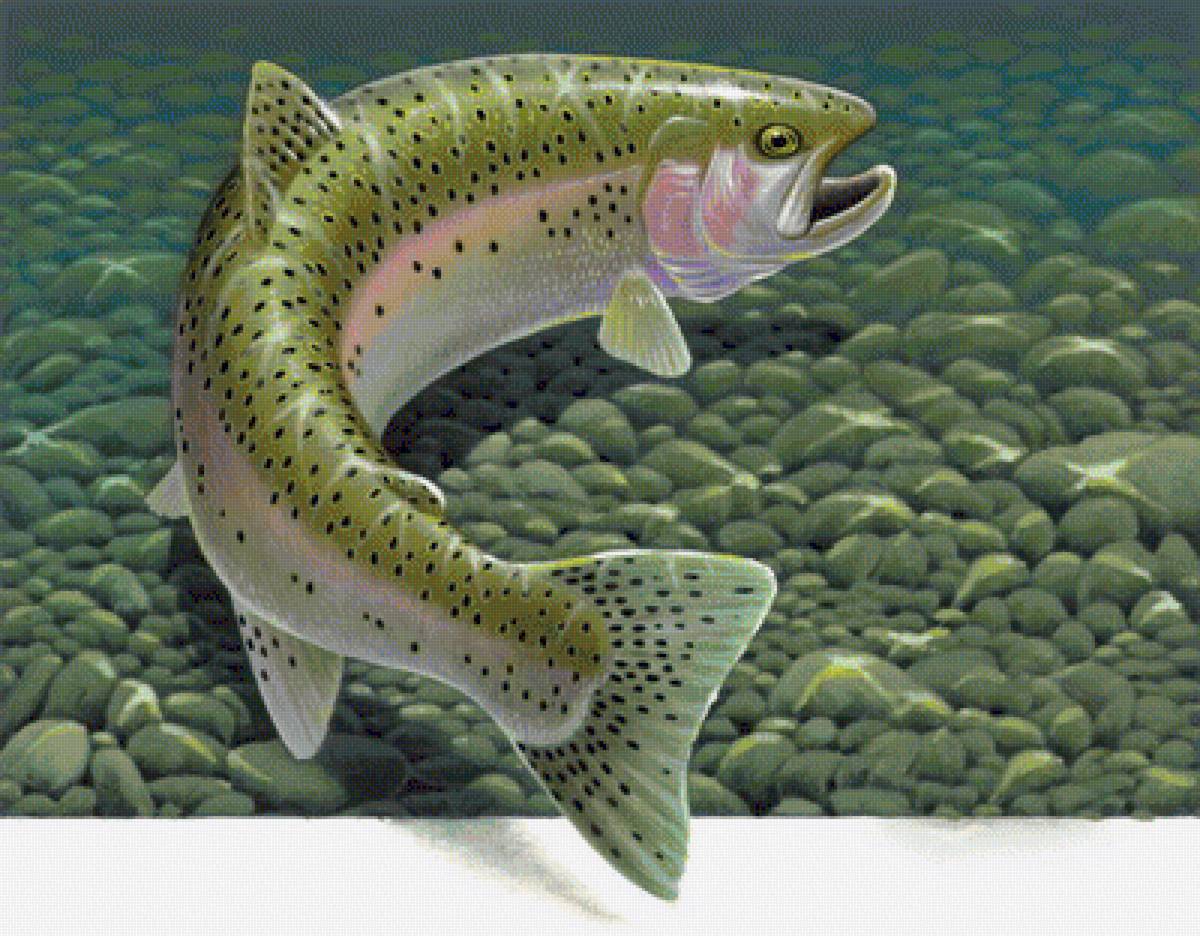 Рыба - рыба - предпросмотр