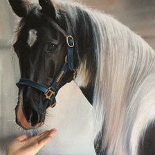 Схема вышивки «ცხ»