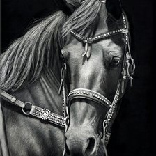 Схема вышивки «№1736811»