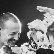 Схема вышивки «Честер»