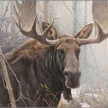 Схема вышивки «ЛОСЬ»