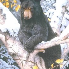 Схема вышивки «№1737008»