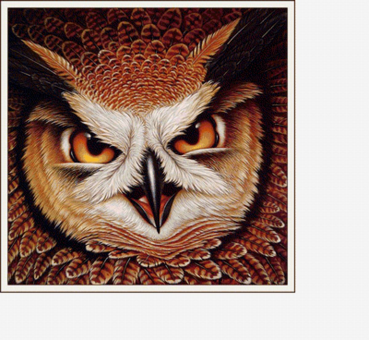 Филин - птицы - предпросмотр