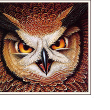 Схема вышивки «Филин»