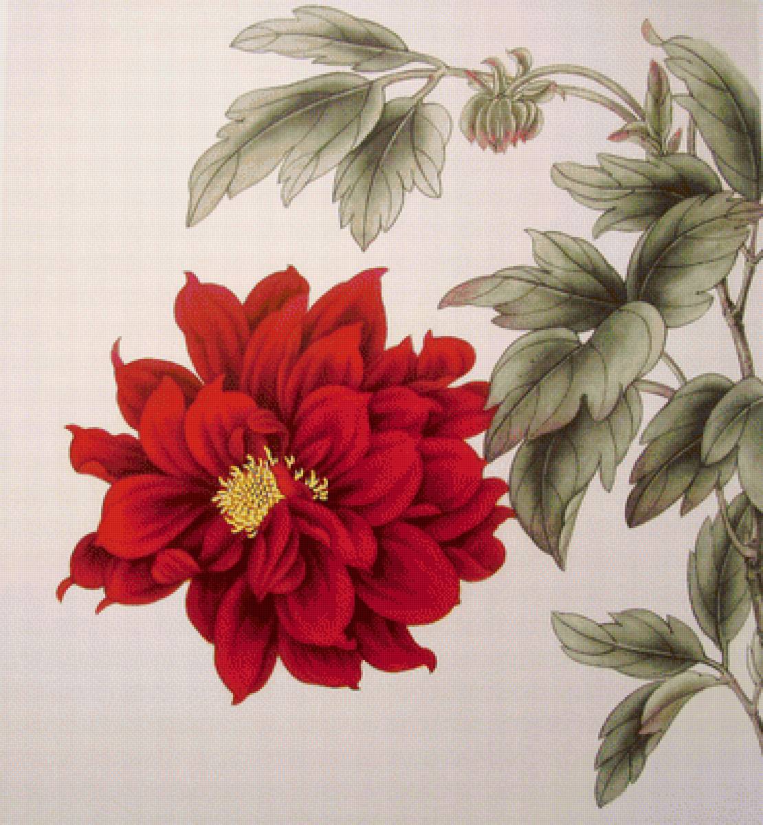 Красный цветок - цветы - предпросмотр